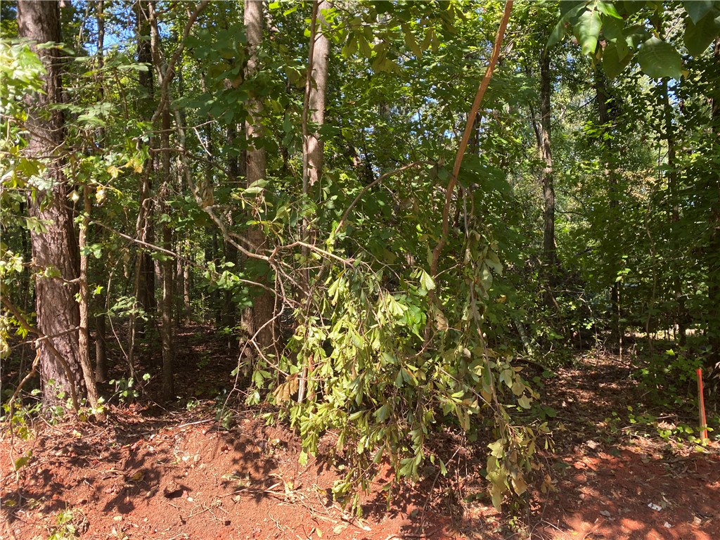 0 Guest Circle Anderson, SC 29621 - Photo 3 of 6 Mature trees and native foliage offer natural privacy across this wooded lot.
