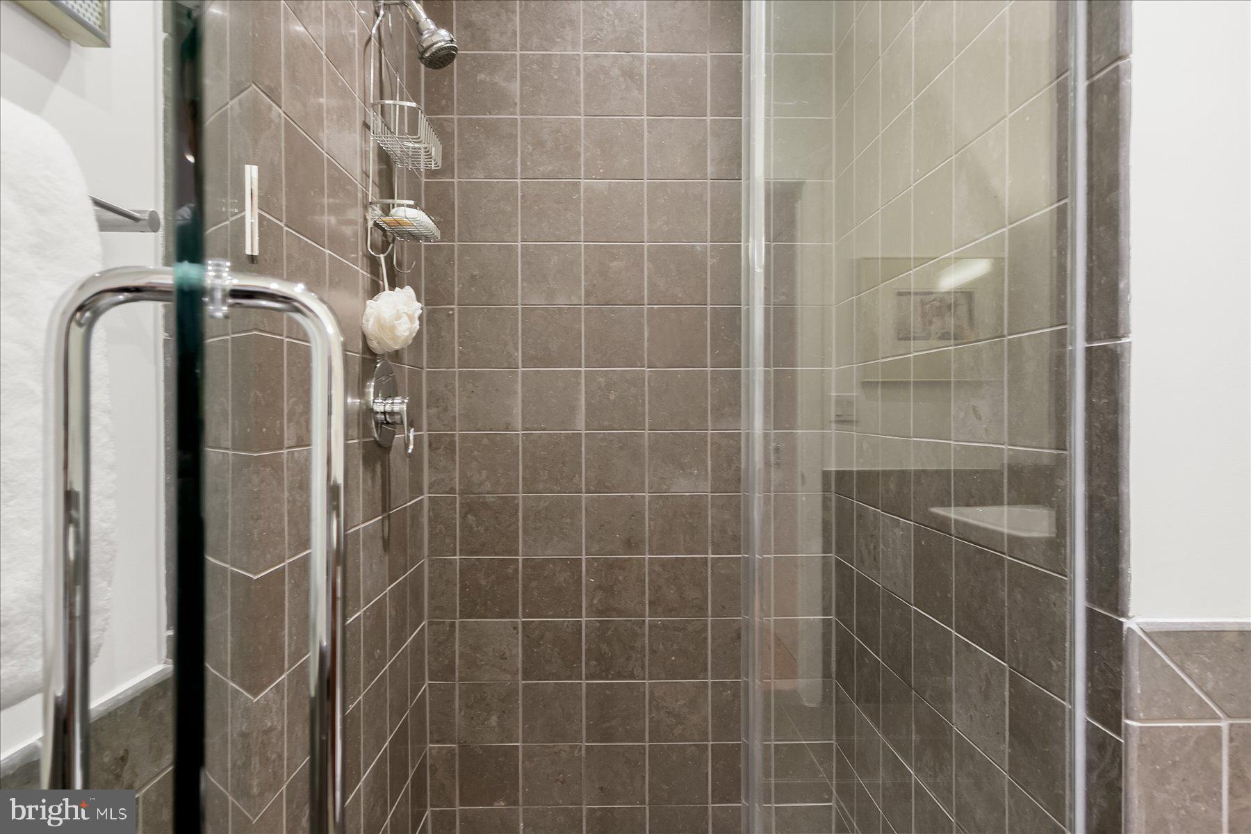 1413 P Street Northwest, Unit 301 Washington, DC 20005 - Photo 16 of 25 Glass-Enclosed Shower