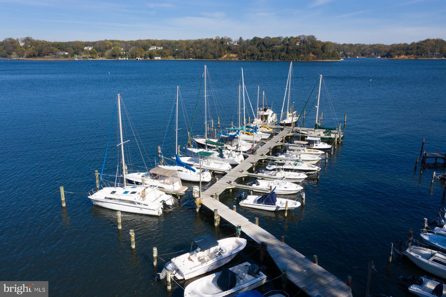 327 Riverview Trail Annapolis, MD 21401 - Photo 41 of 46 Community marina