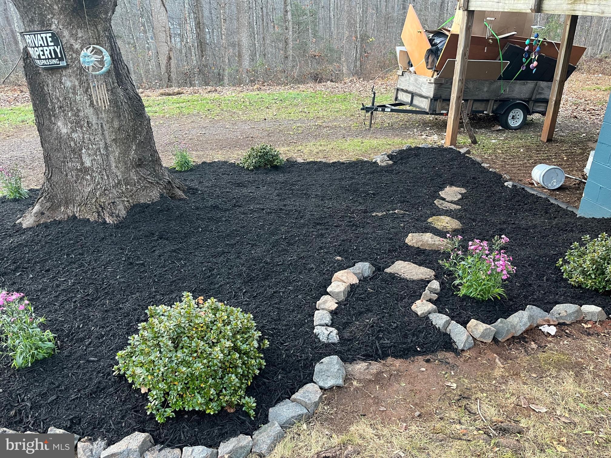 4127 Cabin Road Reva, VA 22735 - Photo 2 of 28 a view of a backyard with floor to ceiling with potted plants