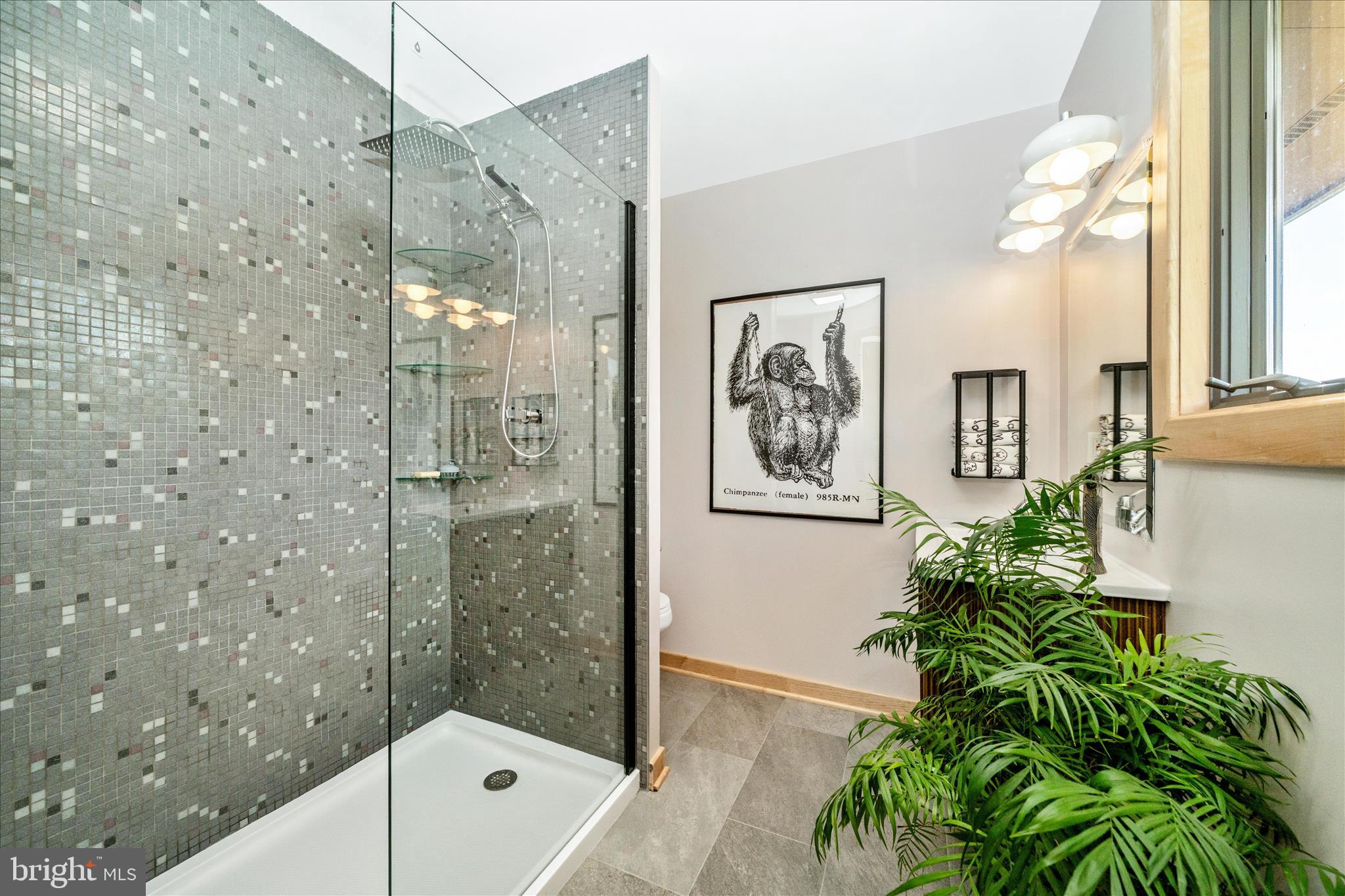 9237 Frostown Road Middletown, MD 21769 - Photo 48 of 113 Bedroom en suite with floating vanity