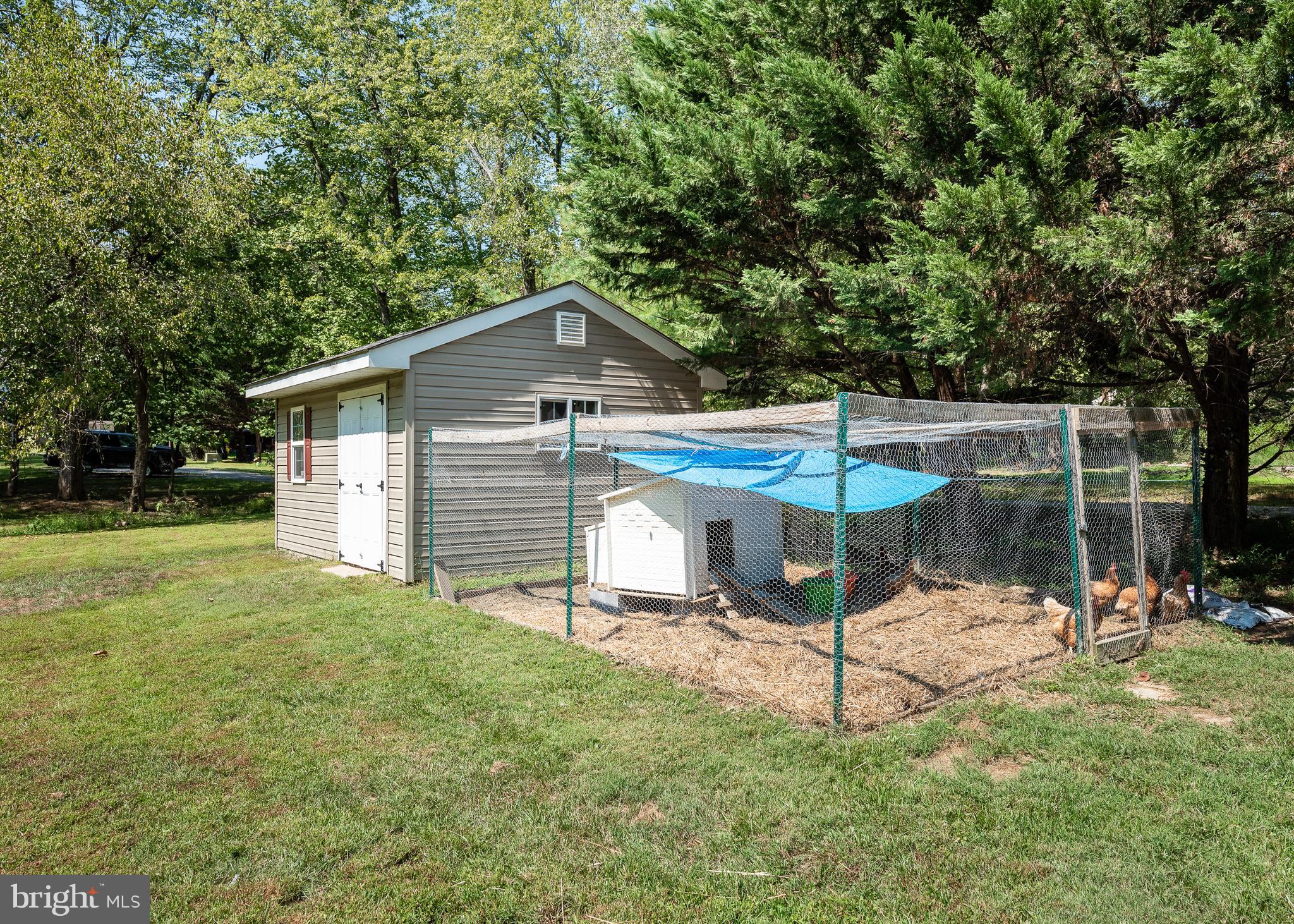15336 Peach Orchard Road Silver Spring, MD 20905 - Photo 48 of 53 Rear Yard