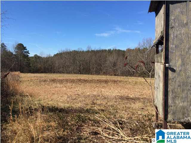 3703 Co Highway 24 Springville, AL 35146 - Photo 18 of 28