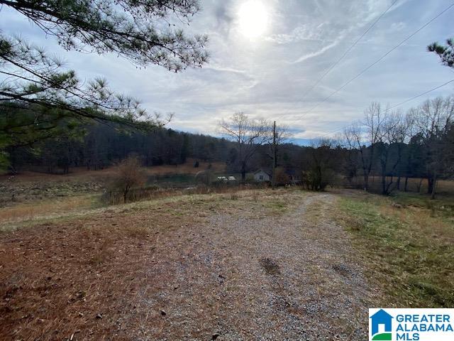 195 Wyatt Lake Road Odenville, AL 35120 - Photo 11 of 16