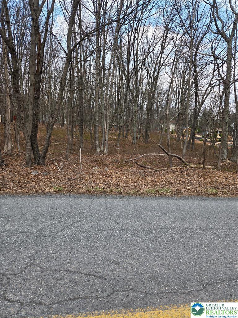 75 Cascade Drive Effort, PA 18330 - Photo 2 of 4