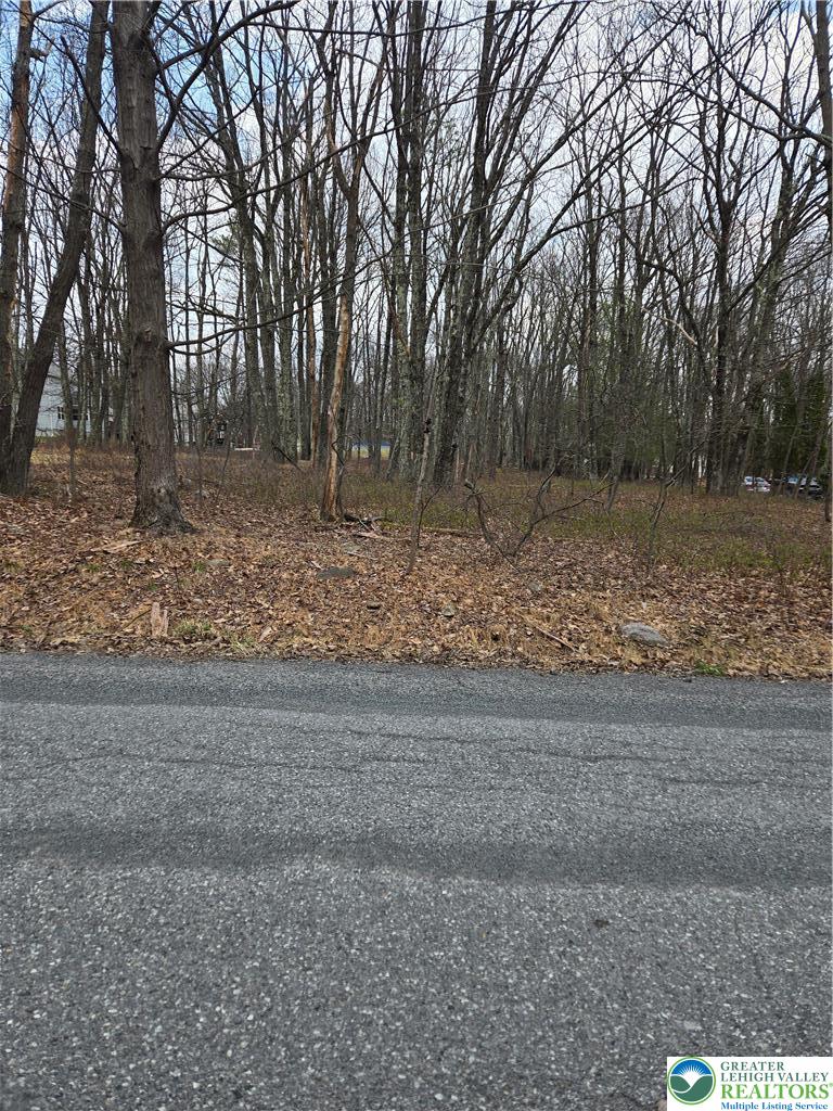 75 Cascade Drive Effort, PA 18330 - Photo 3 of 4