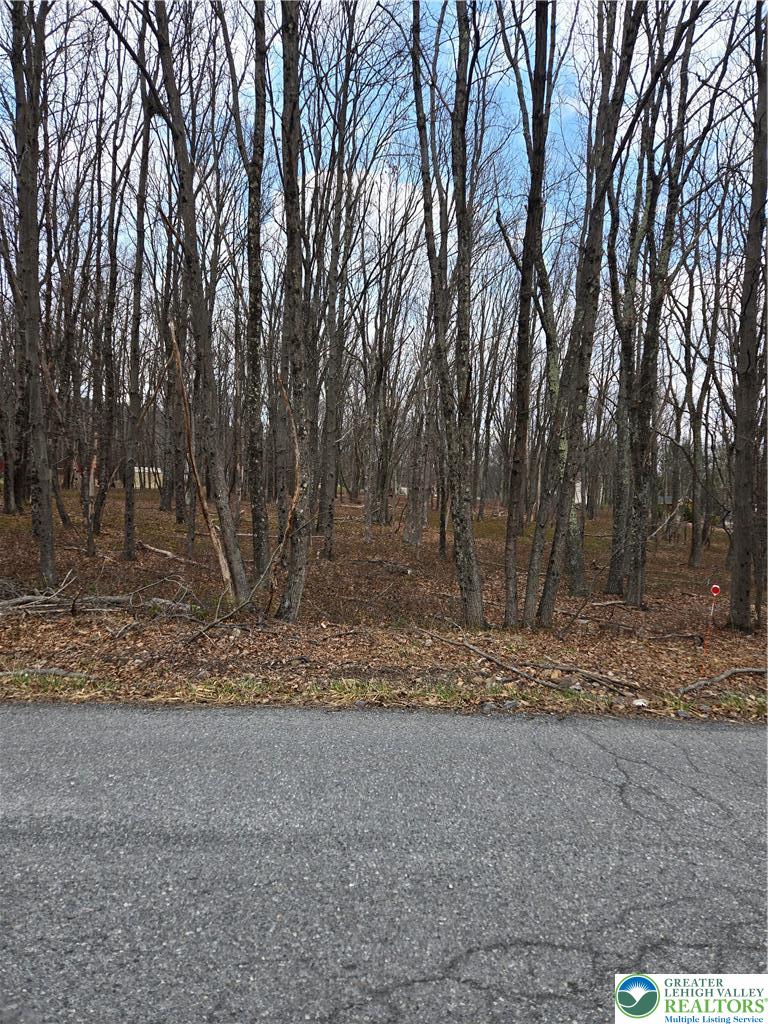 75 Cascade Drive Effort, PA 18330 - Photo 4 of 4