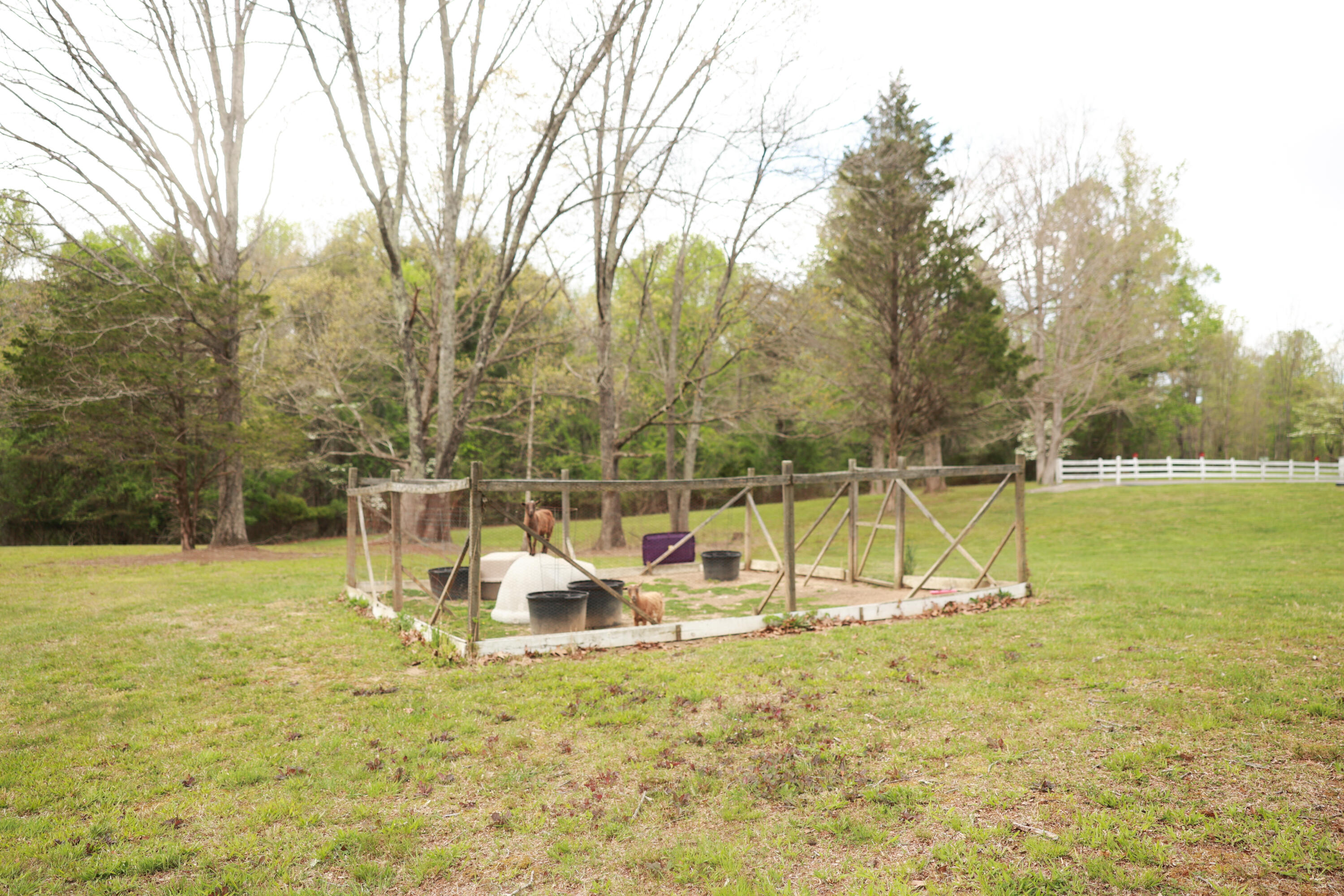 175 Teeters Loop Road Dunlap, TN 37327 - Photo 30 of 48 IP9A9626
