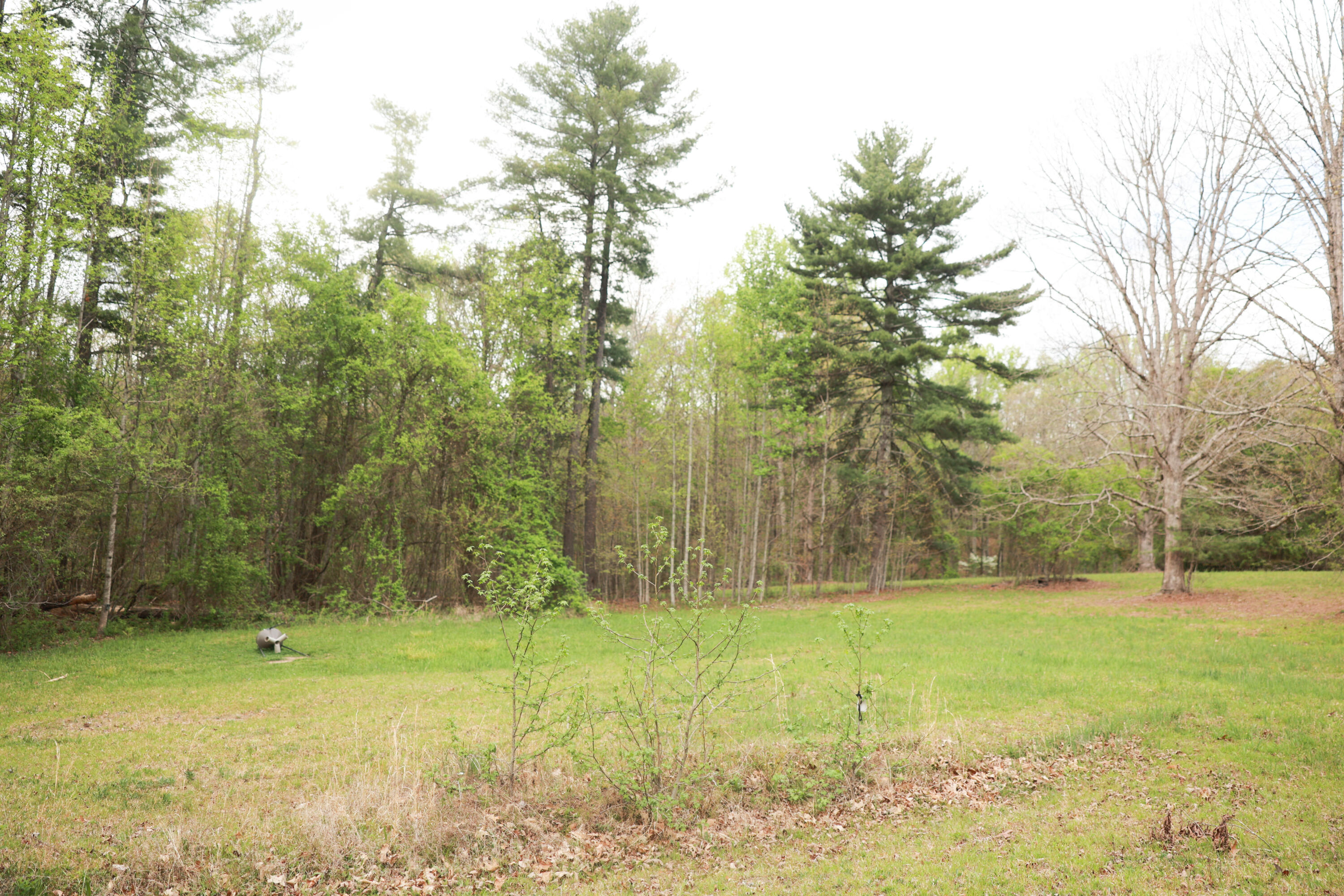 175 Teeters Loop Road Dunlap, TN 37327 - Photo 33 of 48 IP9A9603