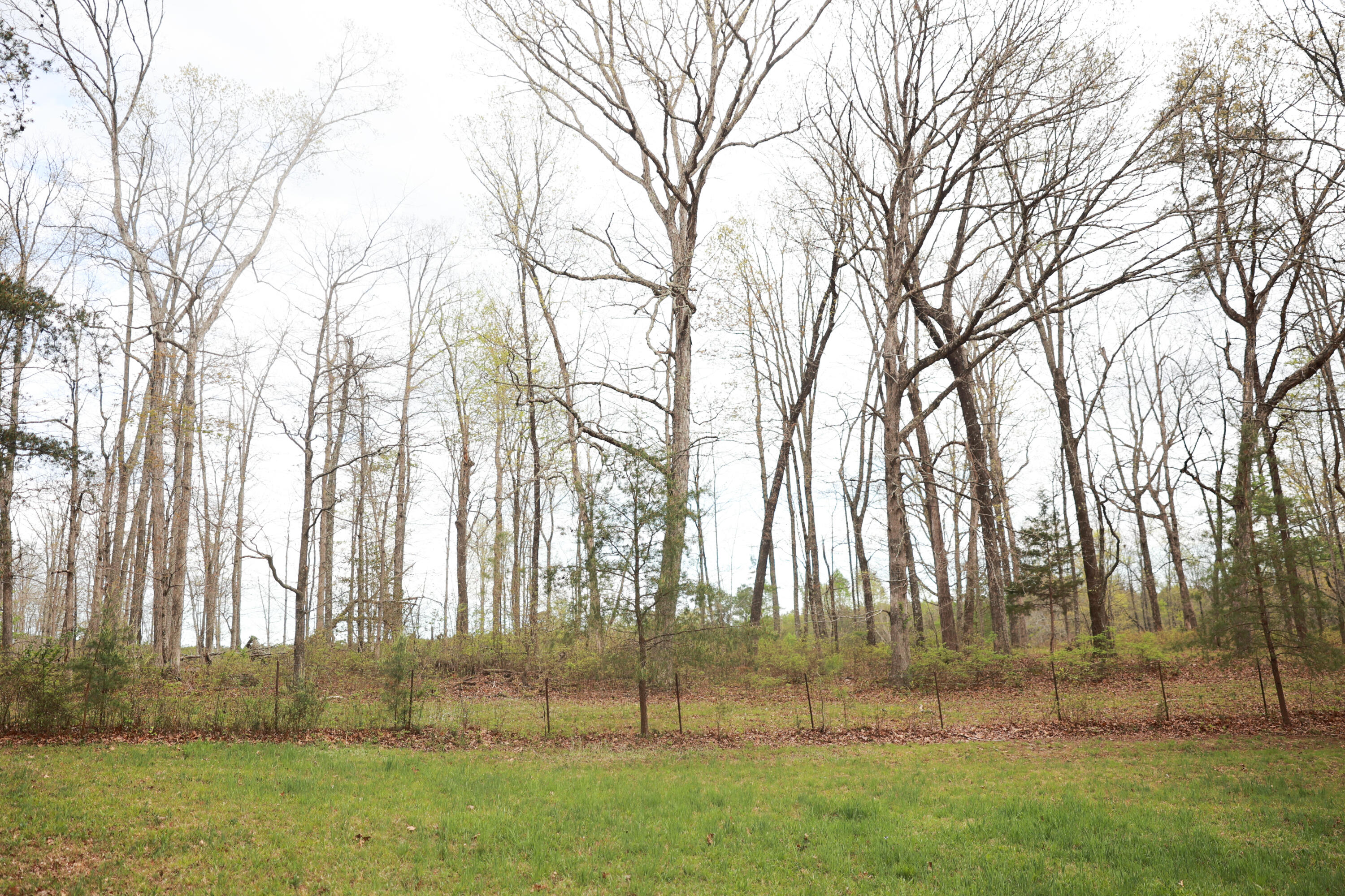 175 Teeters Loop Road Dunlap, TN 37327 - Photo 34 of 48 IP9A9604