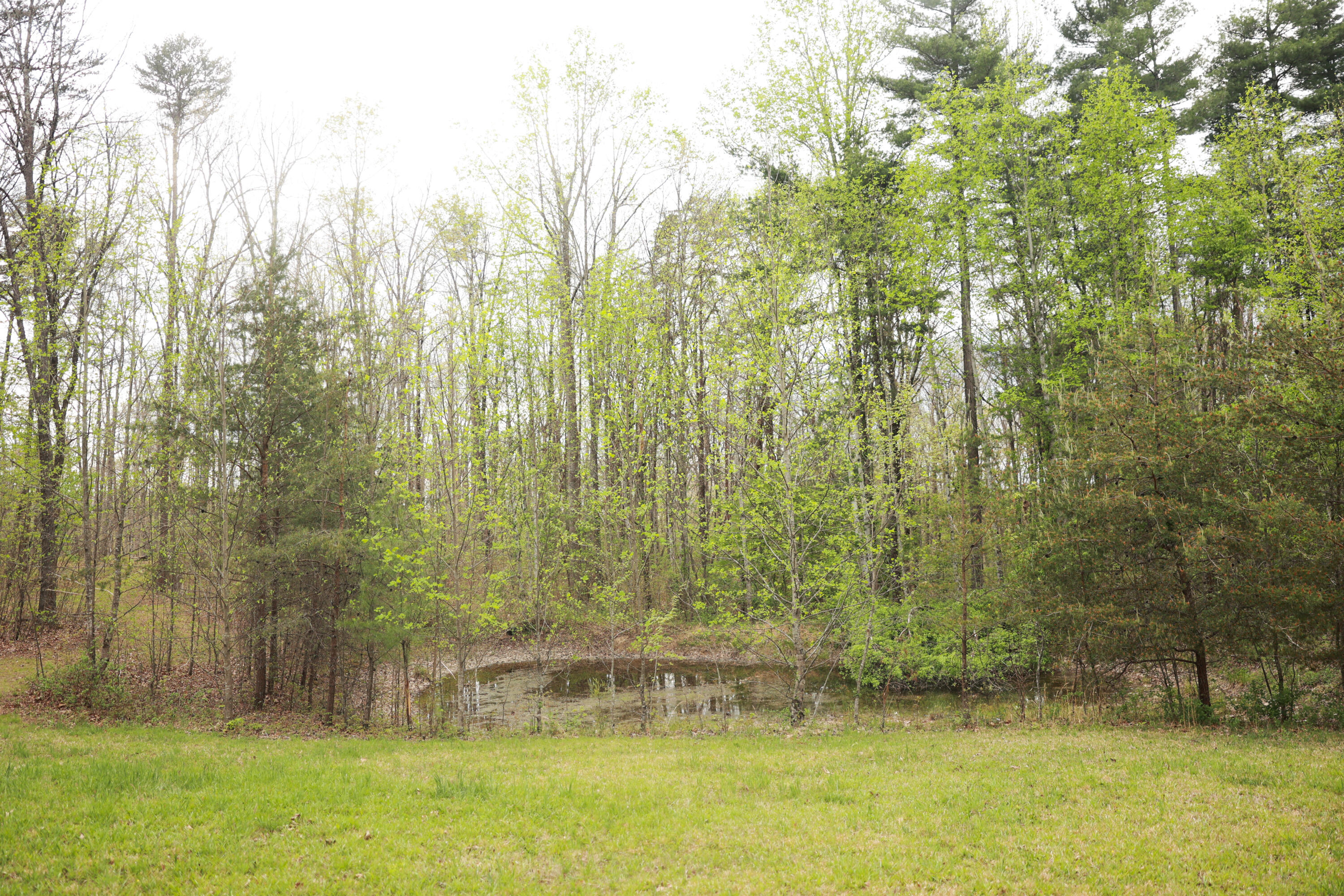 175 Teeters Loop Road Dunlap, TN 37327 - Photo 35 of 48 IP9A9606