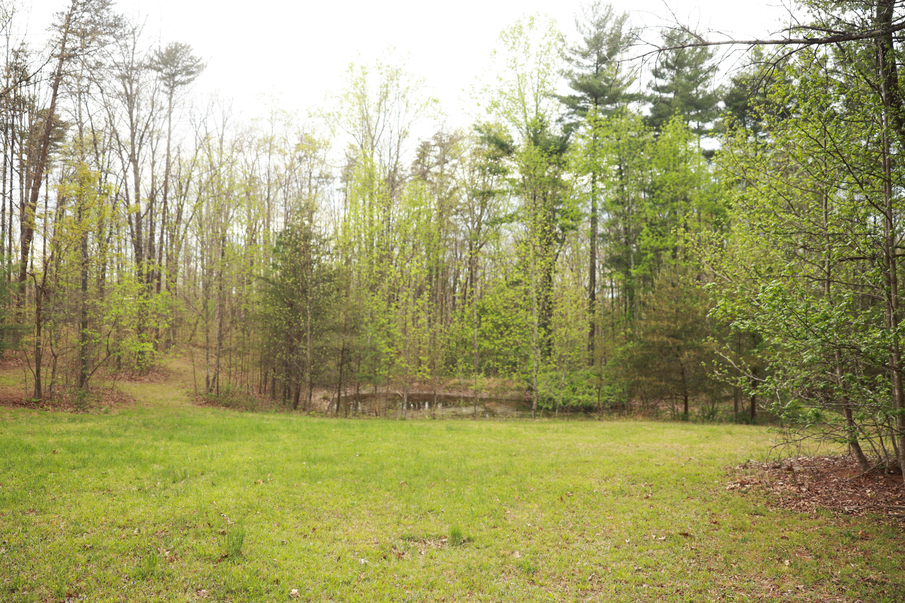 175 Teeters Loop Road Dunlap, TN 37327 - Photo 36 of 48 IP9A9611