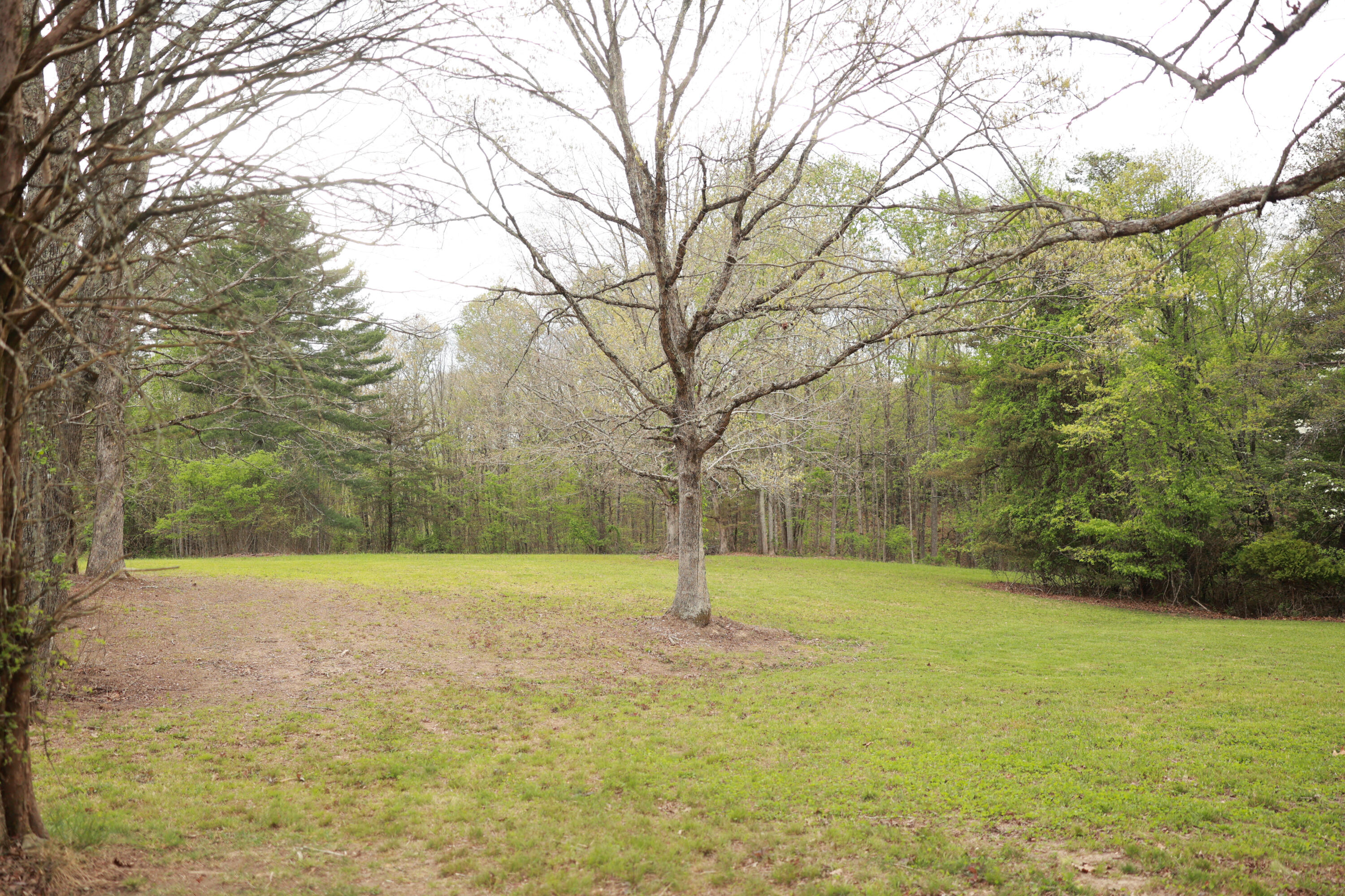 175 Teeters Loop Road Dunlap, TN 37327 - Photo 37 of 48 IP9A9598