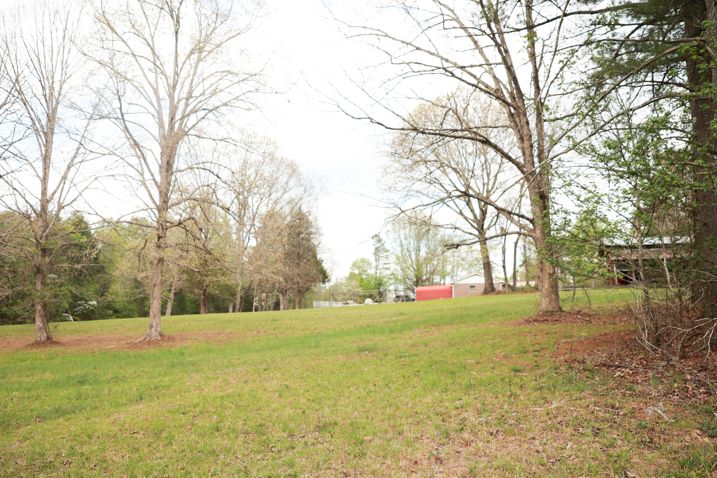 175 Teeters Loop Road Dunlap, TN 37327 - Photo 38 of 48 IP9A9600