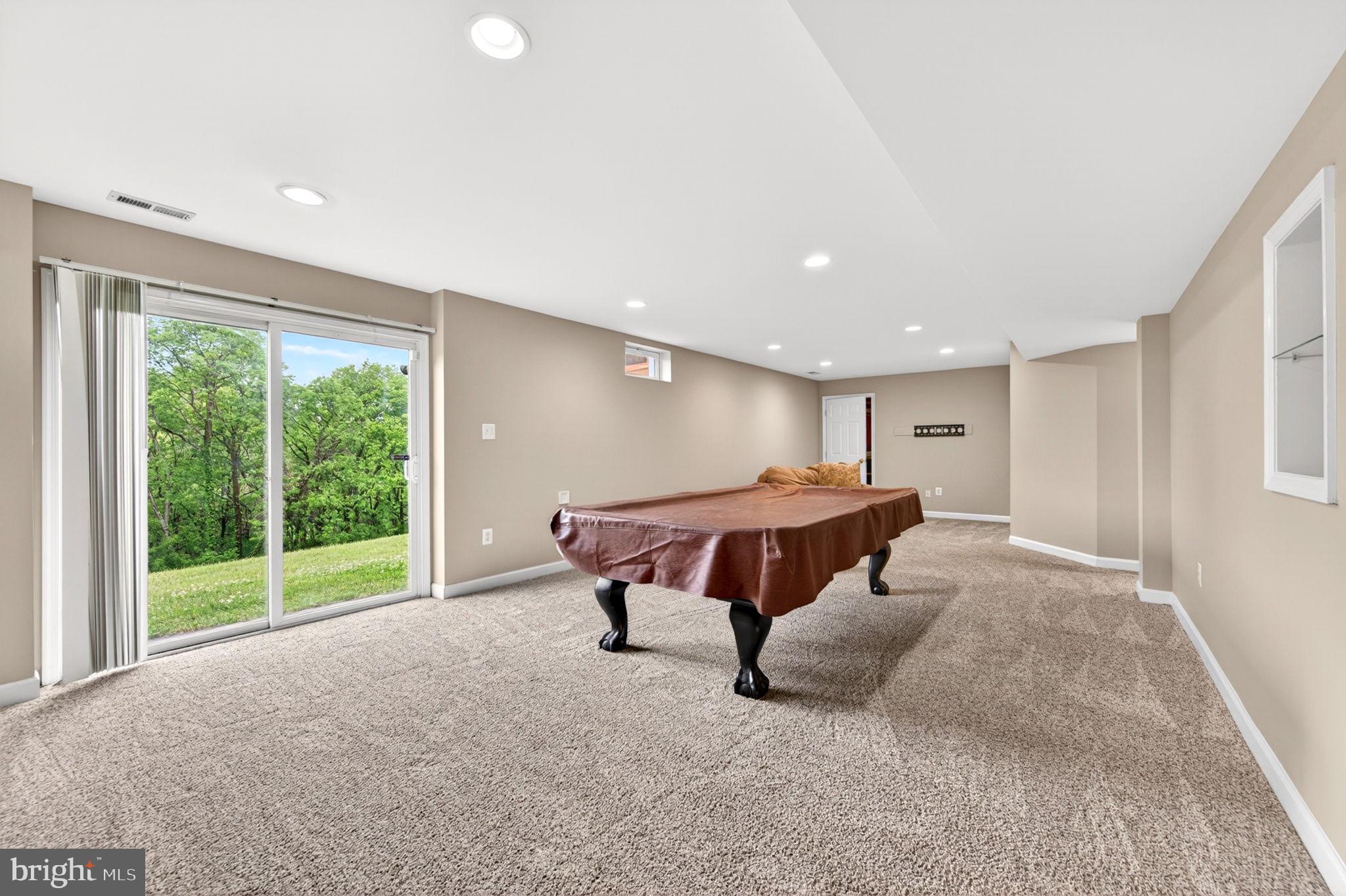 8 North Pointe Terrace Middletown, MD 21769 - Photo 51 of 74 Walk out lower level