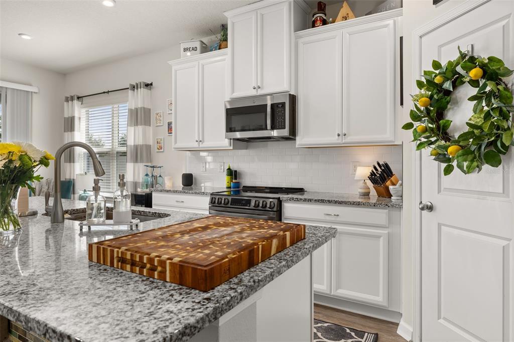 367 August Fern Loop Mount Dora, FL 32757 - Photo 7 of 90