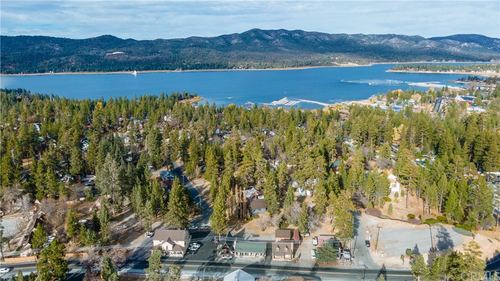 725 Temple Lane Big Bear Lake, CA 92315 - Photo 54 of 65