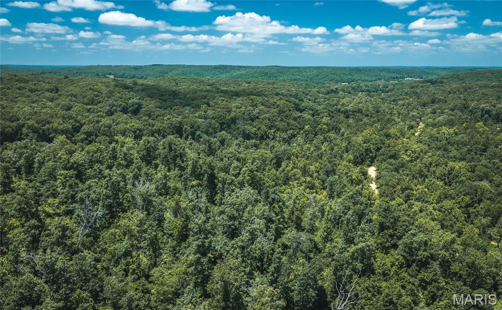 0 Czar Tower Road Steelville, MO 65565 - Photo 18 of 19