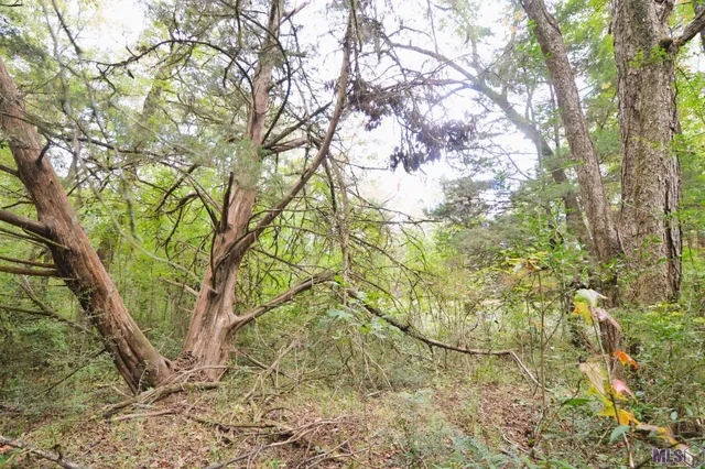 $105,000 | Tbd Como Road, St. Francisville, LA 70775