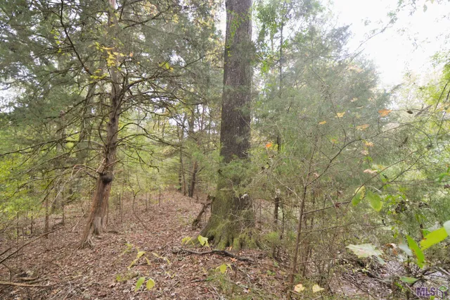 $105,000 | Tbd Como Road, St. Francisville, LA 70775