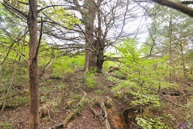 $105,000 | Tbd Como Road, St. Francisville, LA 70775