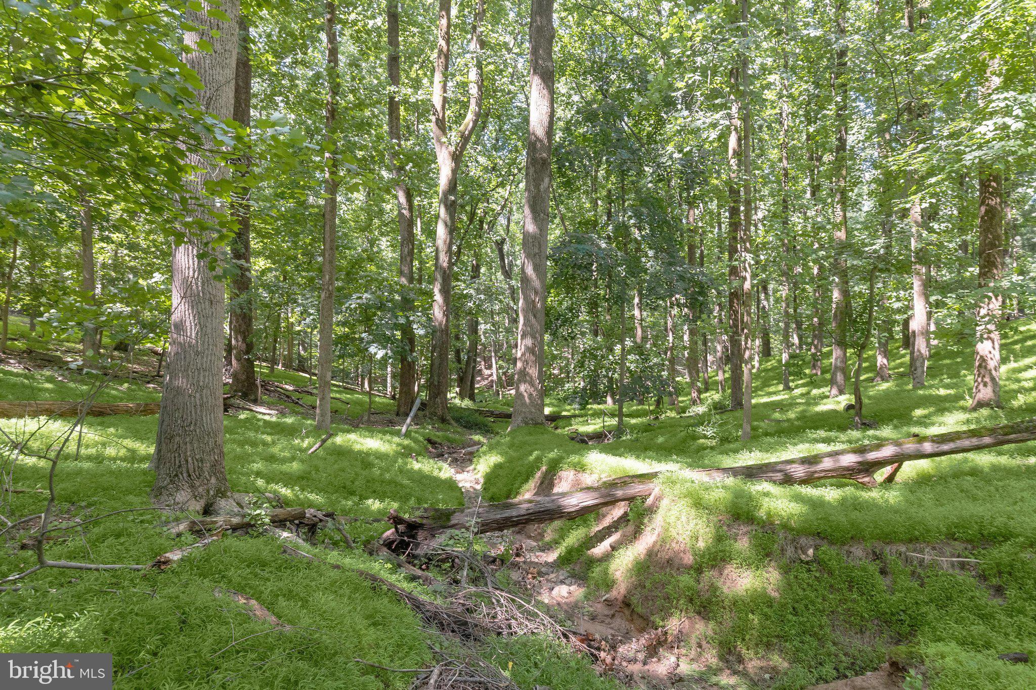 3903 Dance Mill Road Phoenix, MD 21131 - Photo 70 of 79 Views