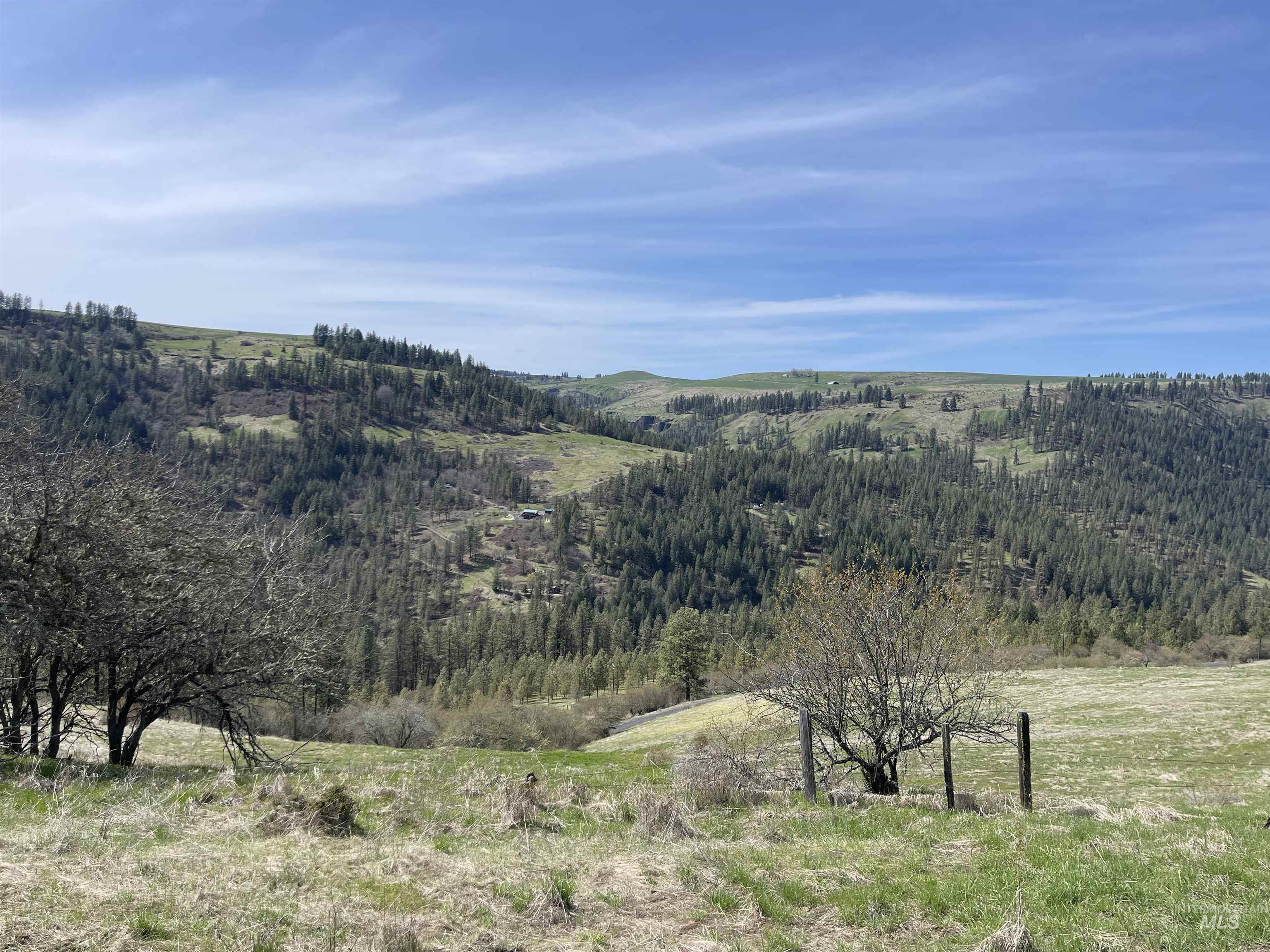 Tbd Wagonwheel Road Stites, ID 83552 - Photo 13 of 33