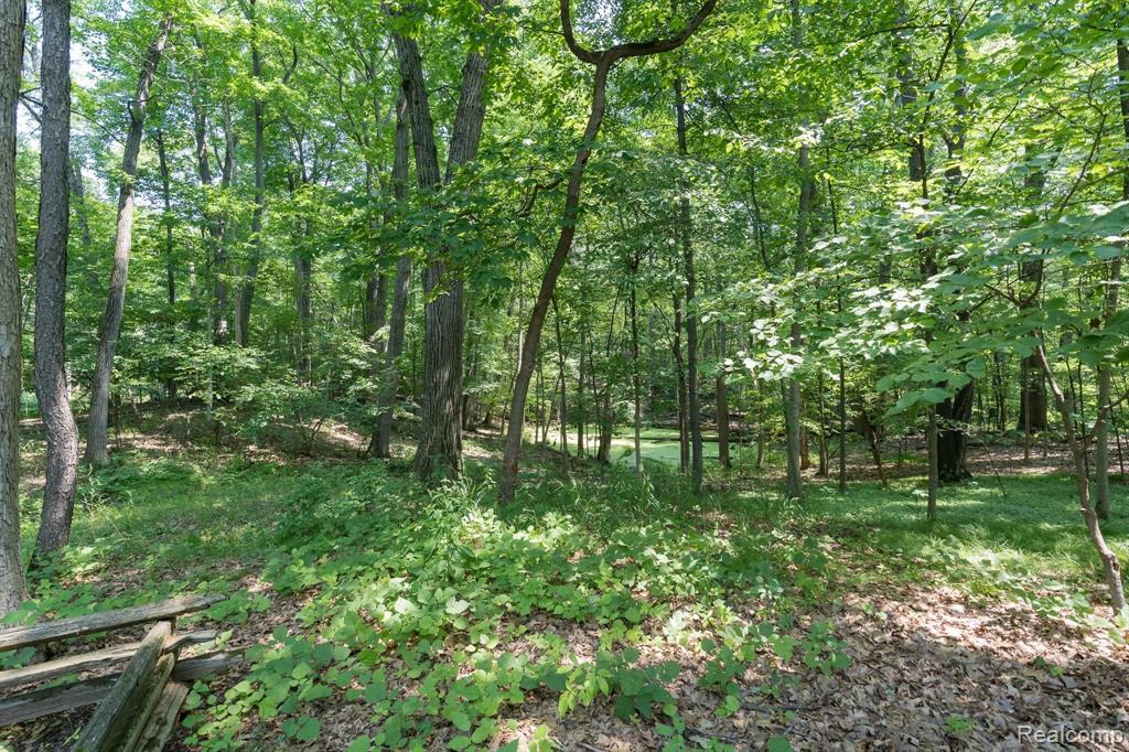 4781 Freer Street Rochester, MI 48306 - Photo 41 of 53