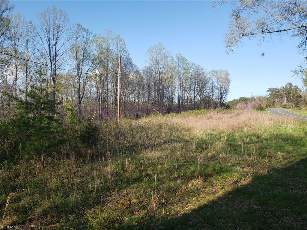 1182 Forrest Road Westfield, NC 27053 - Photo 1 of 9 Gallery Image 1