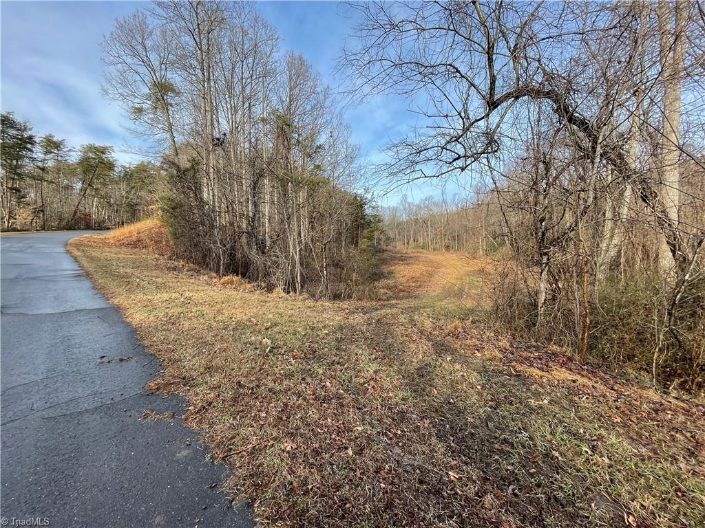 5.8 Acres Doc Sams Road King, NC 27021 - Photo 2 of 10