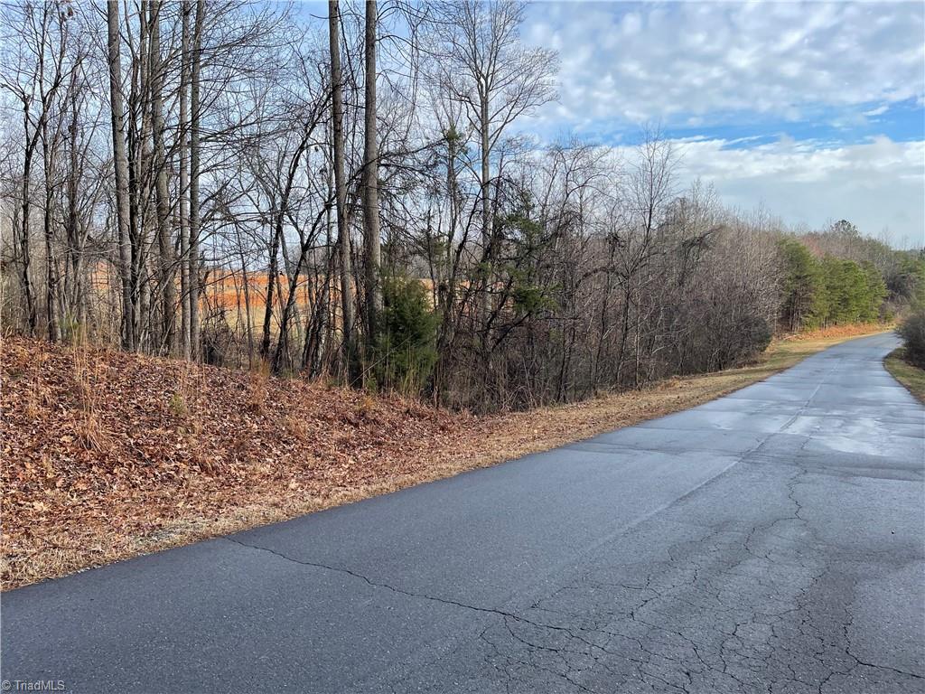 5.8 Acres Doc Sams Road King, NC 27021 - Photo 3 of 10