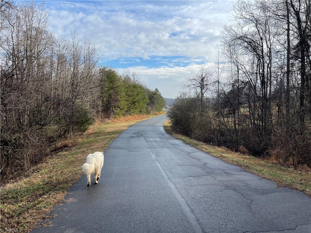 5.8 Acres Doc Sams Road King, NC 27021 - Photo 4 of 10