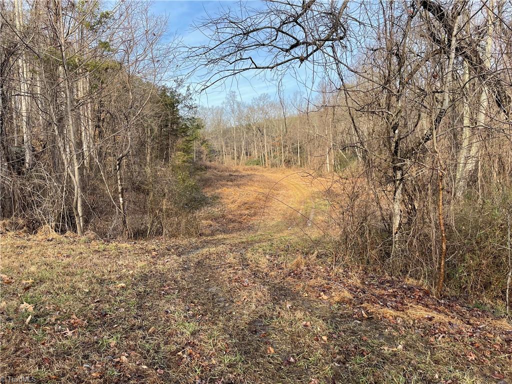 5.8 Acres Doc Sams Road King, NC 27021 - Photo 5 of 10