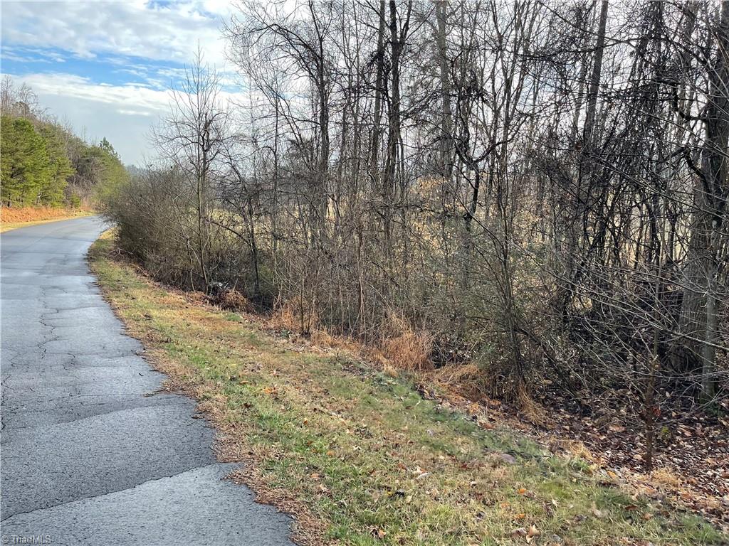 5.8 Acres Doc Sams Road King, NC 27021 - Photo 6 of 10