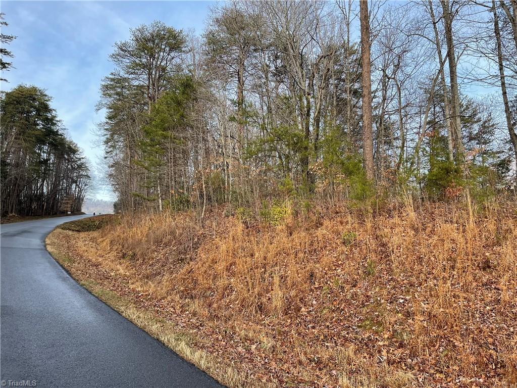 5.8 Acres Doc Sams Road King, NC 27021 - Photo 7 of 10