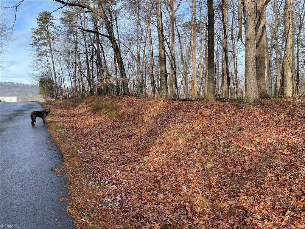 5.8 Acres Doc Sams Road King, NC 27021 - Photo 8 of 10
