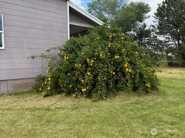 a view of a house with a yard and plants