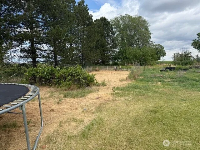 a view of backyard with green space