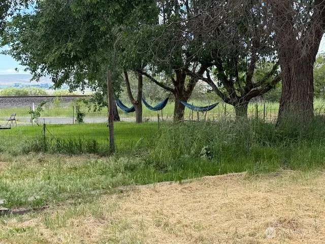 a view of a backyard with a small cabin and a chair