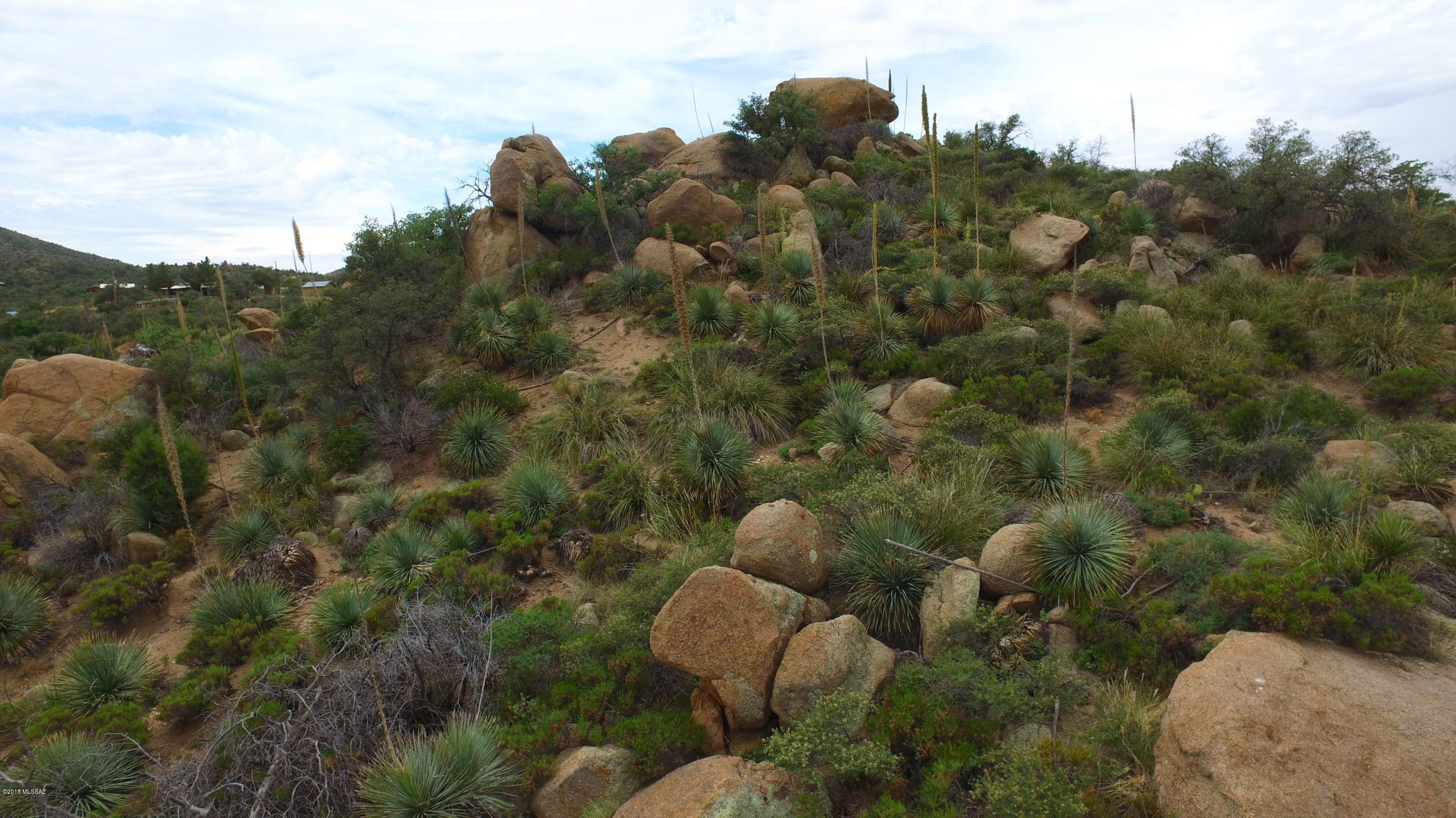 Lot 6 South Hobe Road, Unit 6 Oracle, AZ 85623 - Photo 14 of 17