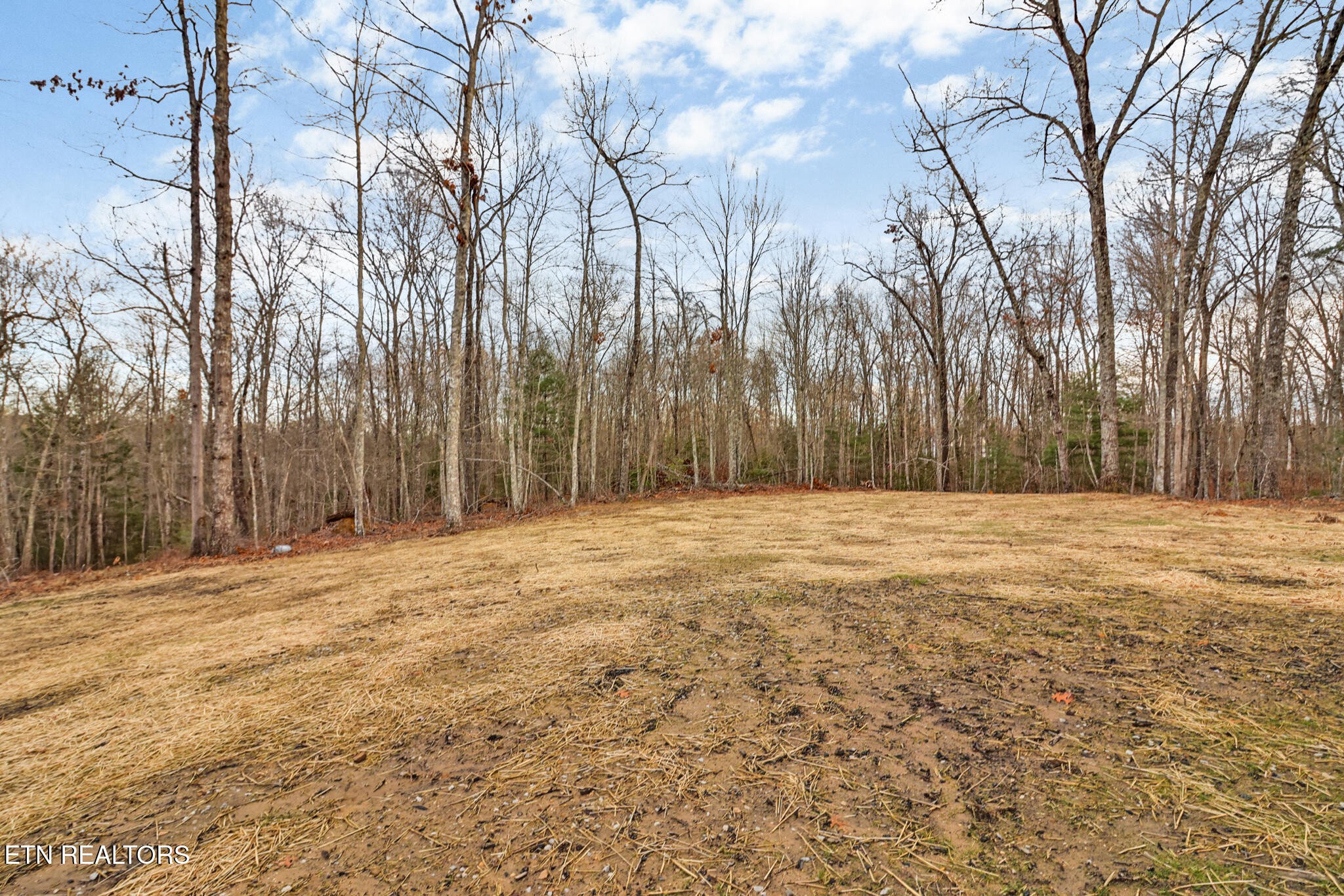 181 Jay Loop Jamestown, TN 38556 - Photo 8 of 56 Gallery Image 8