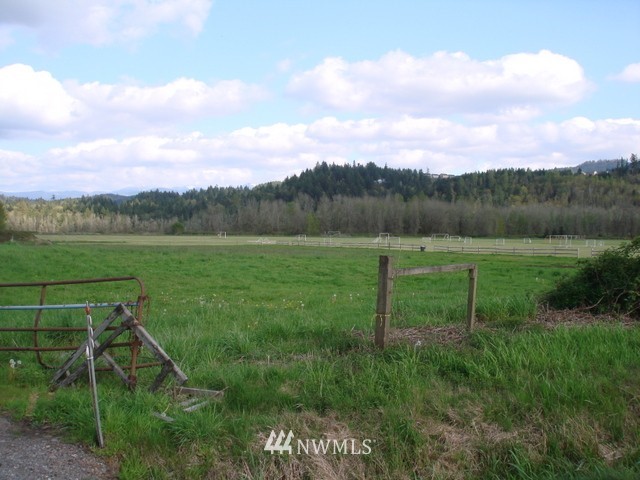 19600 Orville Road East Orting, WA 98360 - Photo 1 of 2 Gallery Image 1
