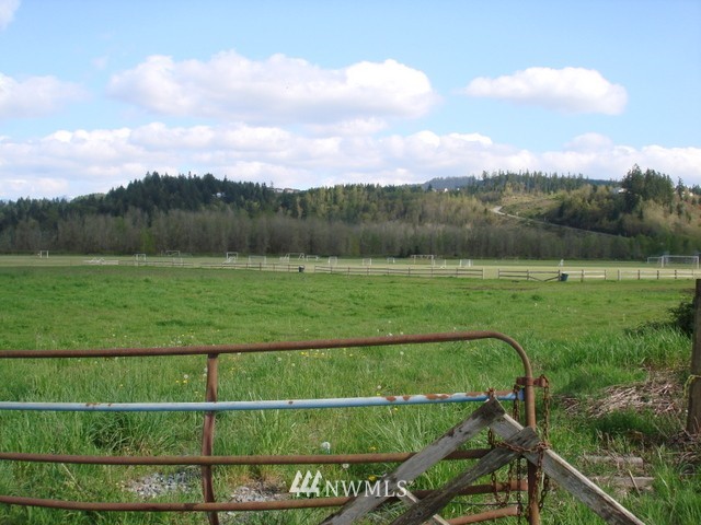 19600 Orville Road East Orting, WA 98360 - Photo 2 of 2 Gallery Image 2