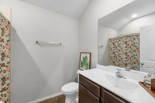 a bathroom with a sink a toilet and shower curtain