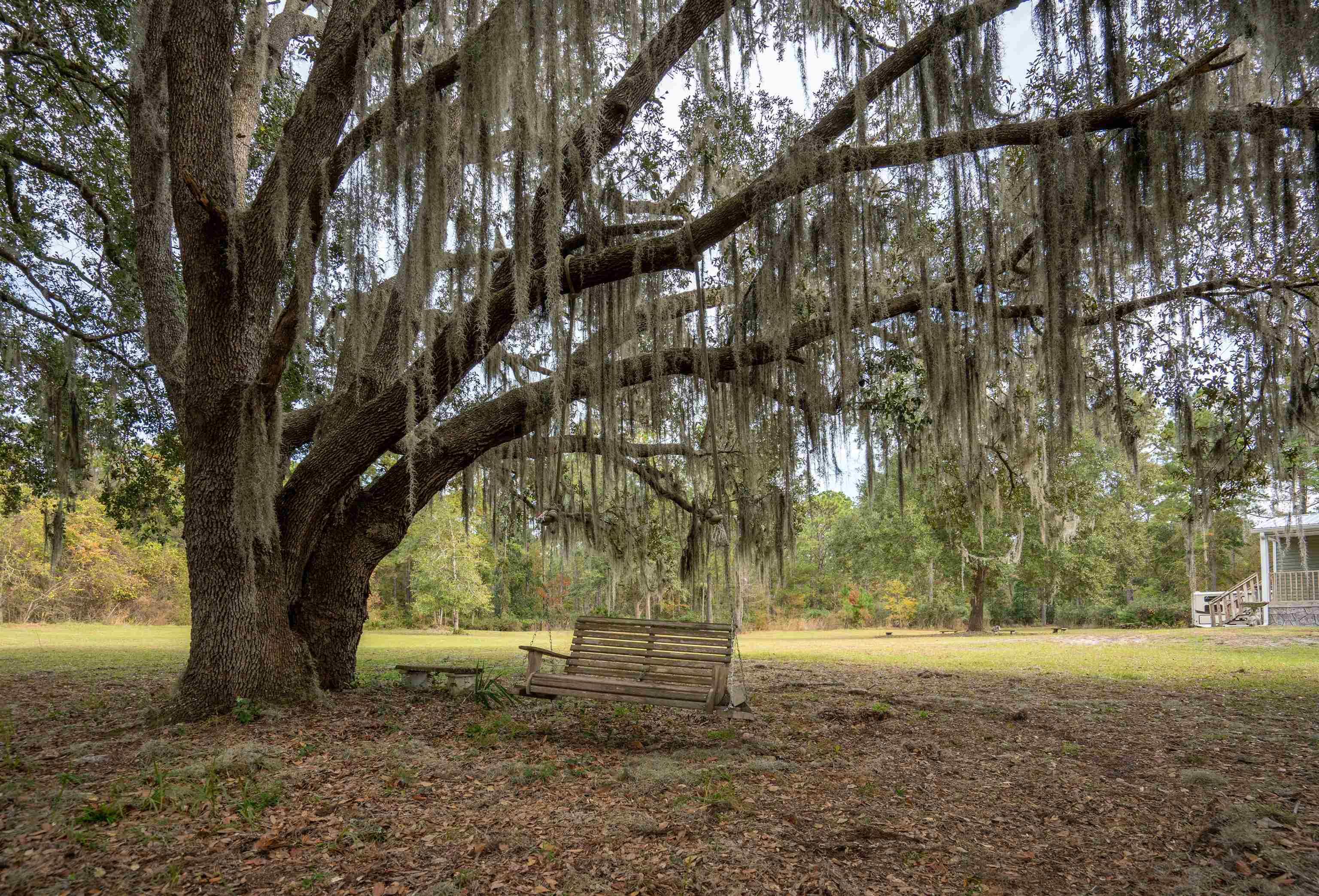 3000 Lightsey Road St. Augustine, FL 32084 - Photo 2 of 35 a view of backyard with tree
