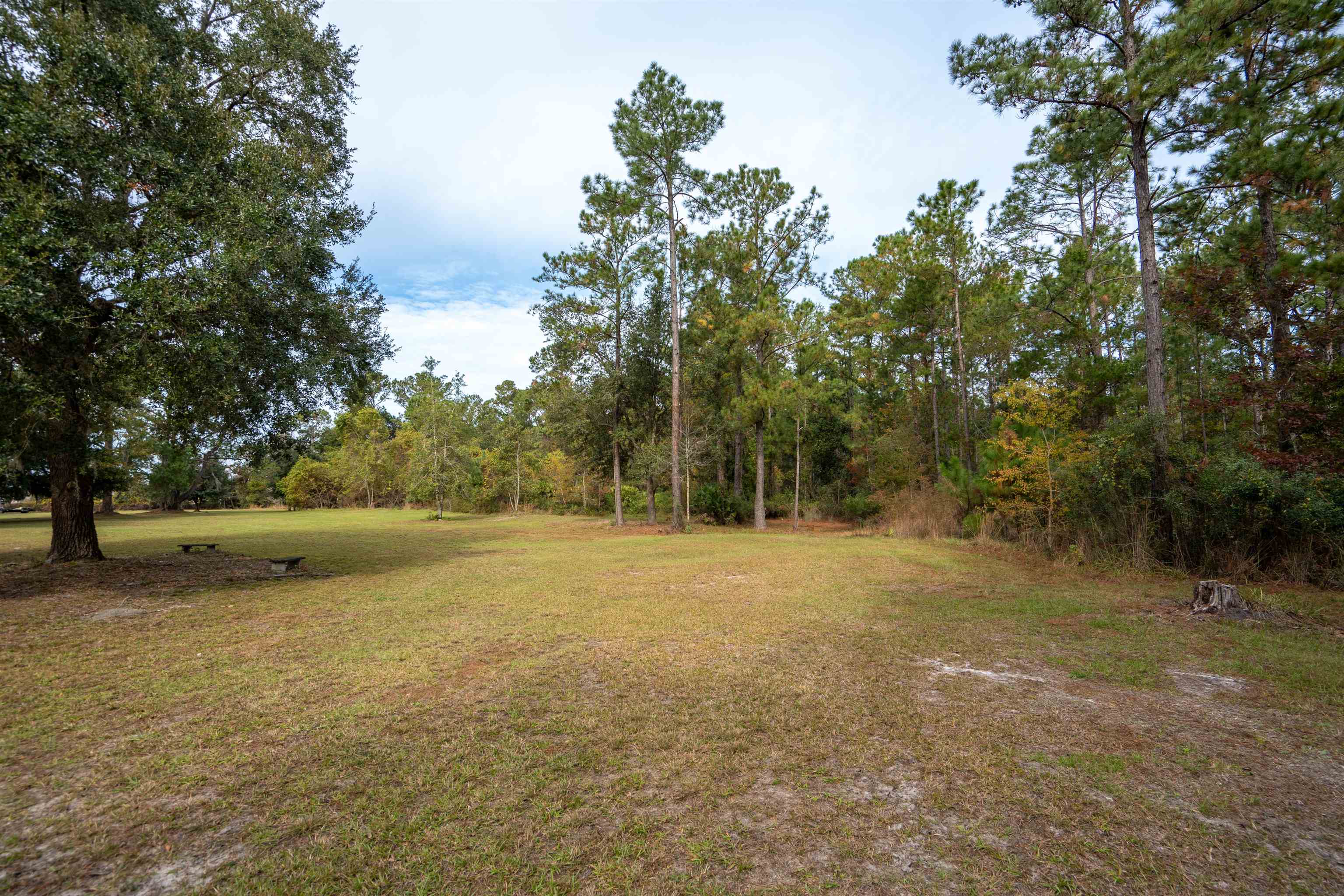 3000 Lightsey Road St. Augustine, FL 32084 - Photo 32 of 35 a view of a field with trees in the background