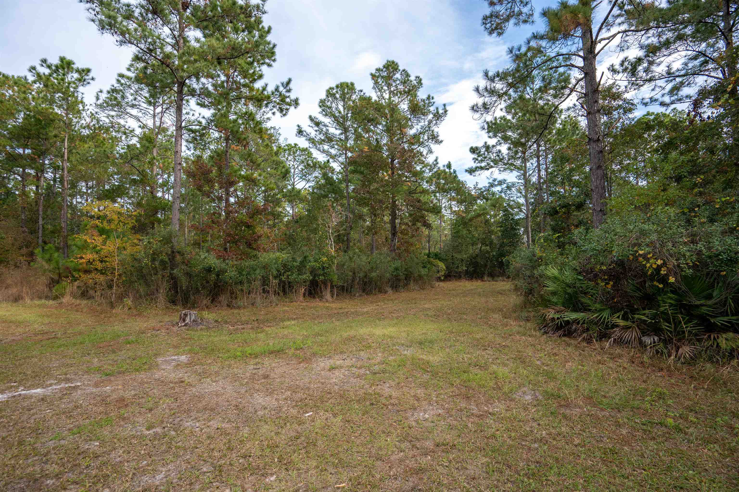 3000 Lightsey Road St. Augustine, FL 32084 - Photo 33 of 35 a view of outdoor space with trees all around