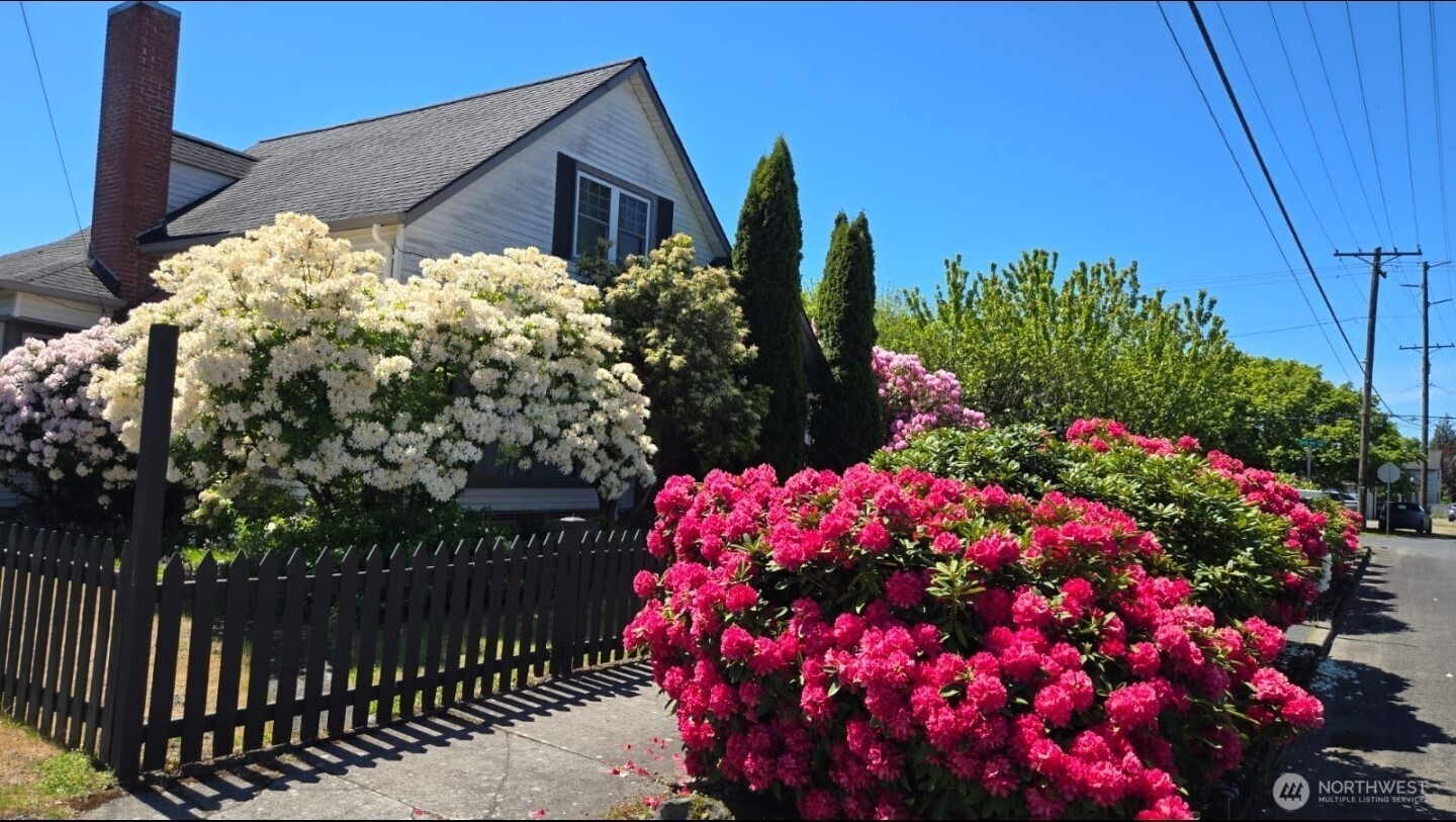 237 C Street Southwest Castle Rock, WA 98611 - Photo 3 of 33 a view of a flower in a garden