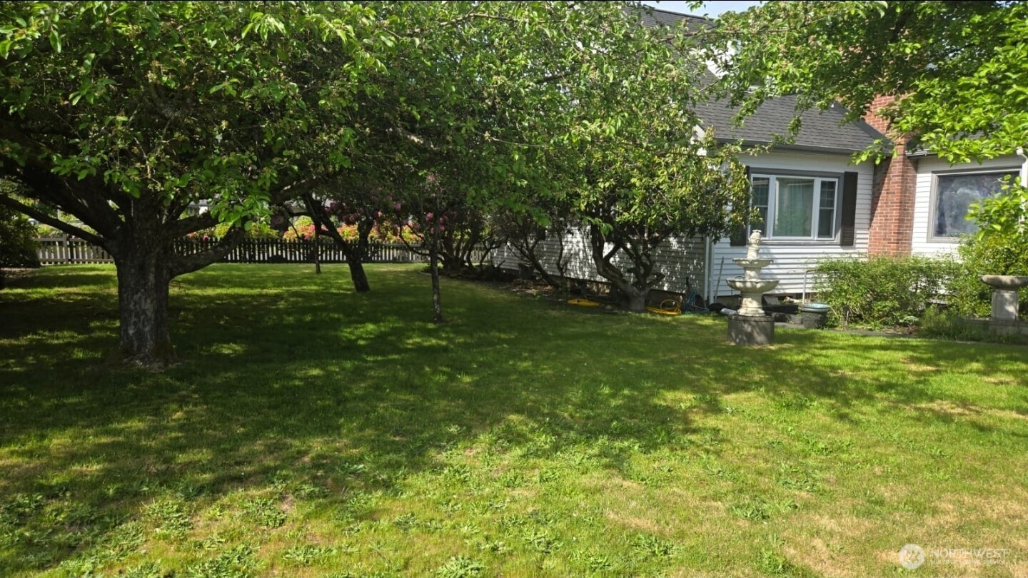 237 C Street Southwest Castle Rock, WA 98611 - Photo 9 of 33 a backyard of a house with plants and large tree