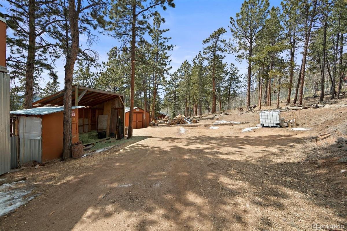 618 Burton Street Bailey, CO 80421 - Photo 20 of 25 Gallery Image 20